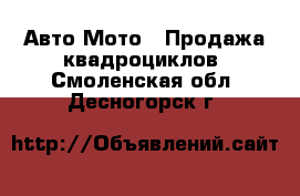 Авто Мото - Продажа квадроциклов. Смоленская обл.,Десногорск г.